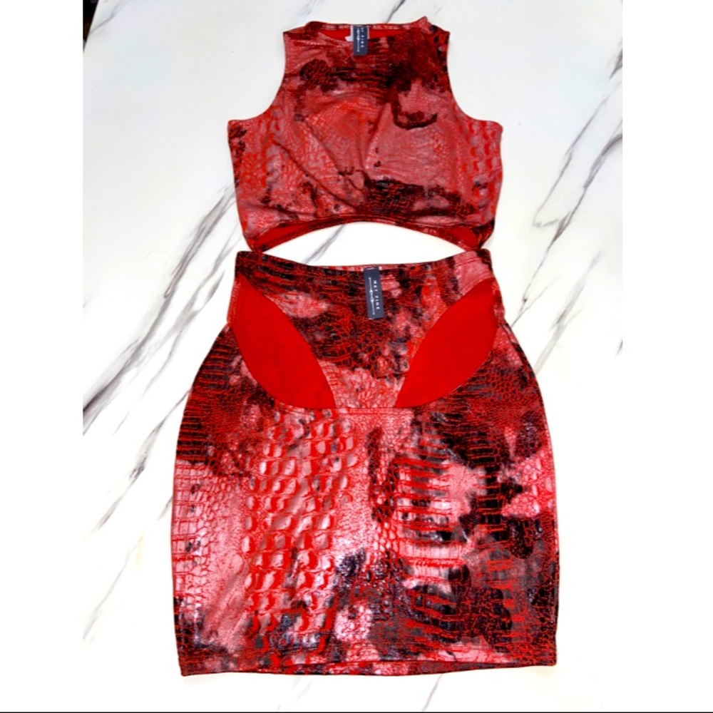 Two piece snake print set
